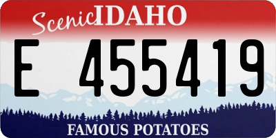 ID license plate E455419