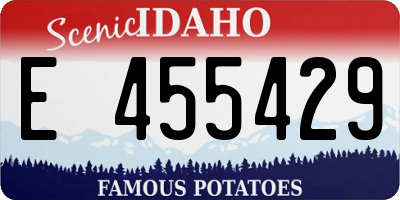 ID license plate E455429