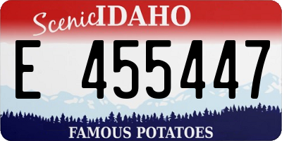 ID license plate E455447