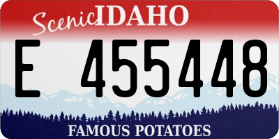 ID license plate E455448
