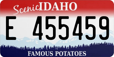 ID license plate E455459