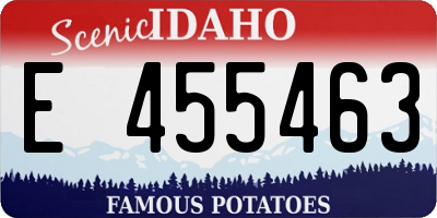 ID license plate E455463