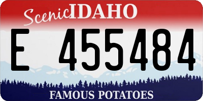 ID license plate E455484