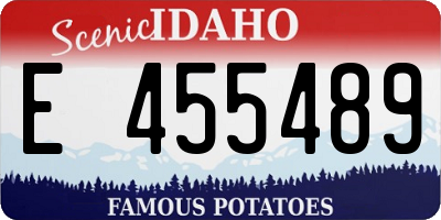 ID license plate E455489