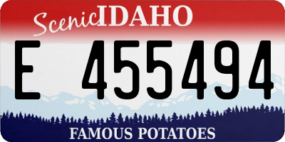 ID license plate E455494