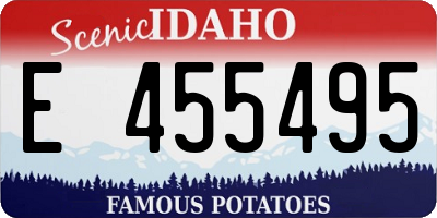 ID license plate E455495