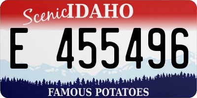 ID license plate E455496