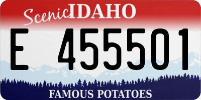 ID license plate E455501
