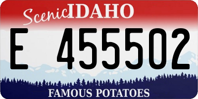 ID license plate E455502