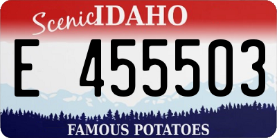 ID license plate E455503