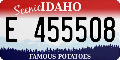 ID license plate E455508
