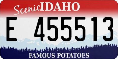 ID license plate E455513