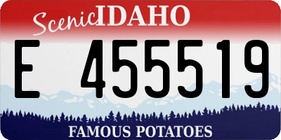 ID license plate E455519