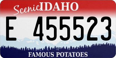 ID license plate E455523