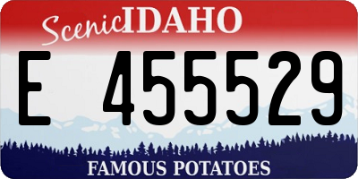 ID license plate E455529