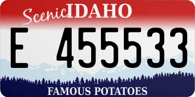 ID license plate E455533