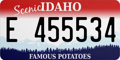 ID license plate E455534