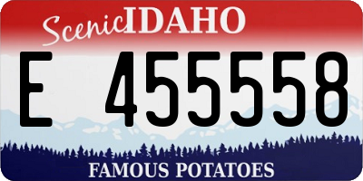 ID license plate E455558