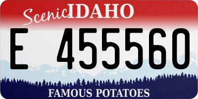 ID license plate E455560