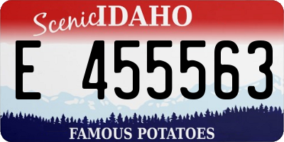 ID license plate E455563