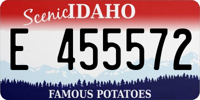 ID license plate E455572