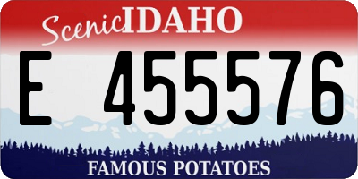 ID license plate E455576