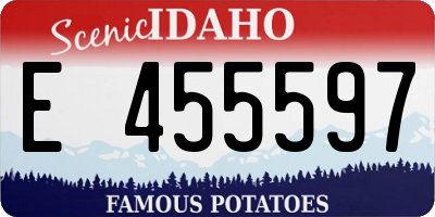 ID license plate E455597