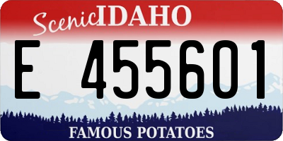ID license plate E455601