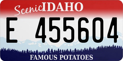 ID license plate E455604