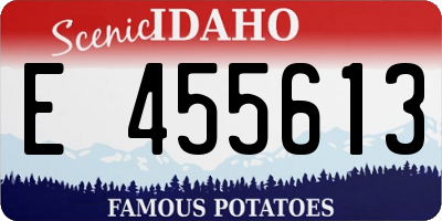ID license plate E455613