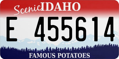 ID license plate E455614