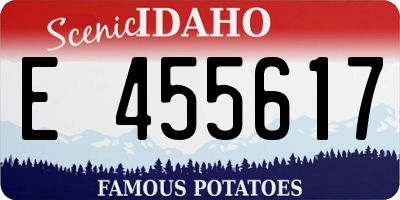 ID license plate E455617