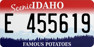 ID license plate E455619