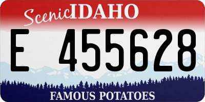 ID license plate E455628