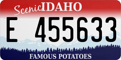 ID license plate E455633