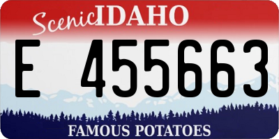 ID license plate E455663