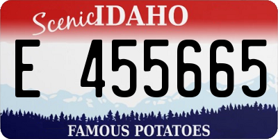 ID license plate E455665