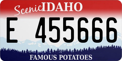 ID license plate E455666