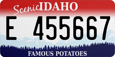 ID license plate E455667