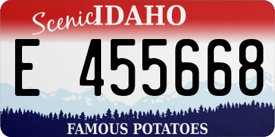 ID license plate E455668