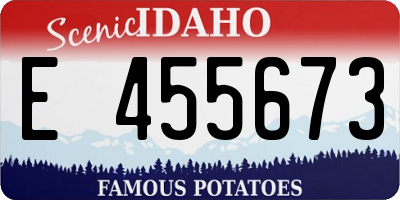 ID license plate E455673