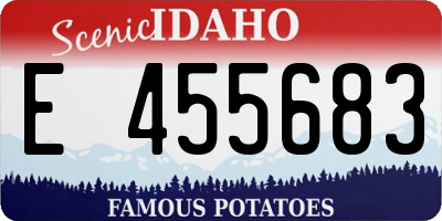 ID license plate E455683