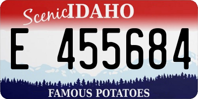ID license plate E455684