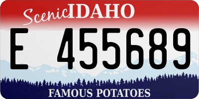 ID license plate E455689