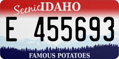 ID license plate E455693