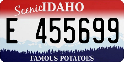 ID license plate E455699