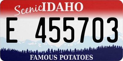 ID license plate E455703