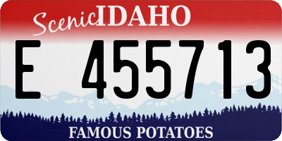 ID license plate E455713