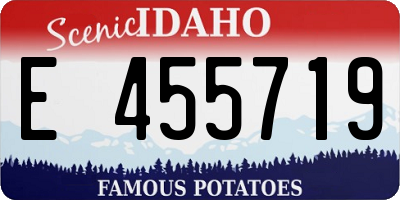 ID license plate E455719