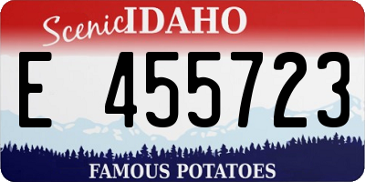 ID license plate E455723